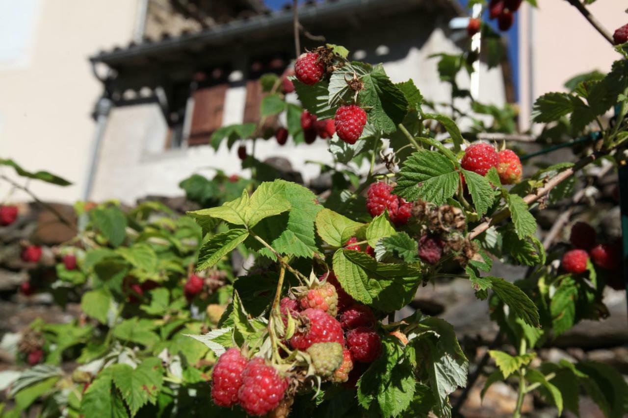 La Caladette Villa Les Plantiers Luaran gambar